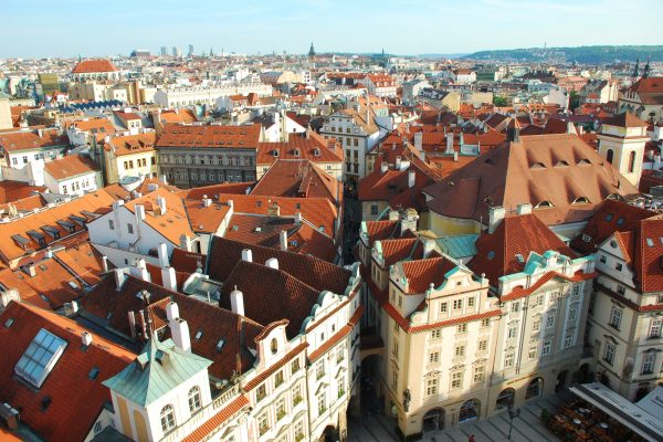 COVID III: Záruční program pro firmy zasažené koronavirem