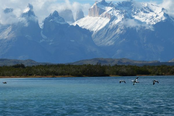 Chile jako brána startupů do Latinské Ameriky: Příležitosti v programu SEED